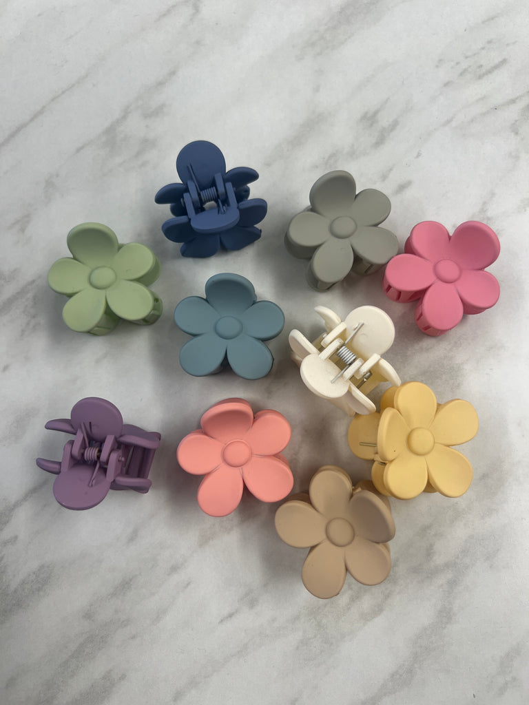 Mini flower claw clips 2pk random colours